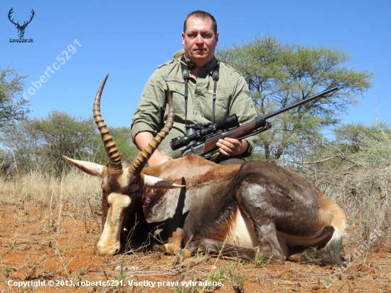 Blesbok