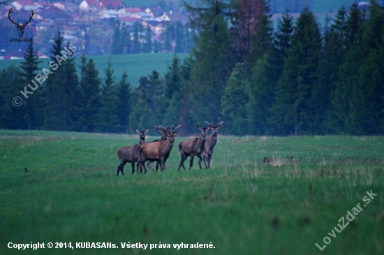 Večer za dedinou