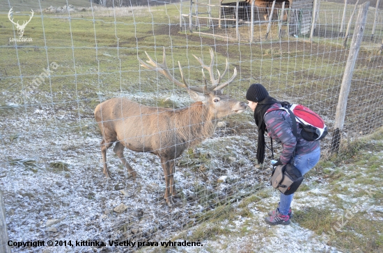 Božtek od kamaráta... :)