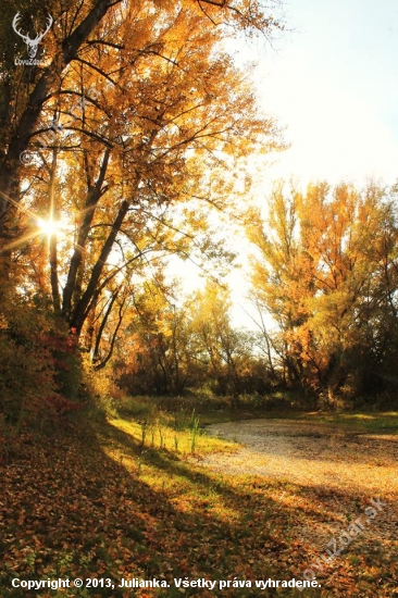 Slniečko hrialo