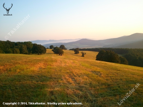 Spomienka na leto