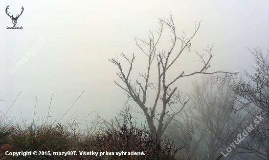 V pozadi Velka Fatra....