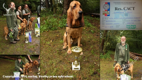 ČESKA ŽIJUCA NA SLOVENSKU USPEŠNE REPREZENTOVALA SLOVENSKO V ČECHACH 2.