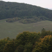 DIELO HOVADA ZA 20 MIN CEZ RUJU