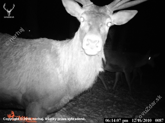 SKUSKA NOVEHO FOTO ZARIADENIA 2