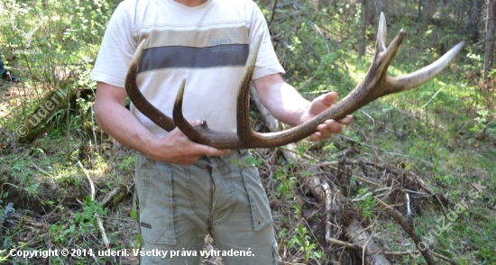 spomienka na minulú sezónu