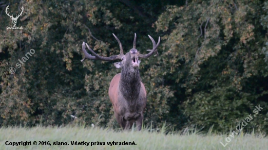 podvečer na horách