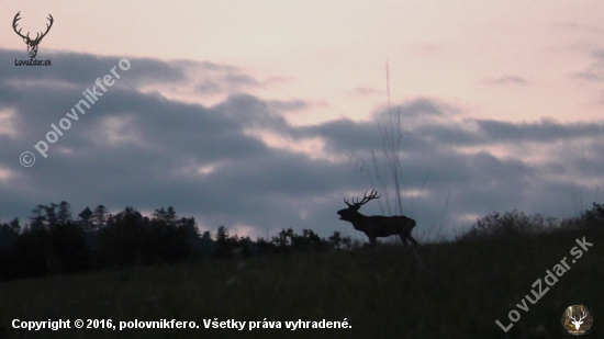 Na lúke pri zotmievaní sa