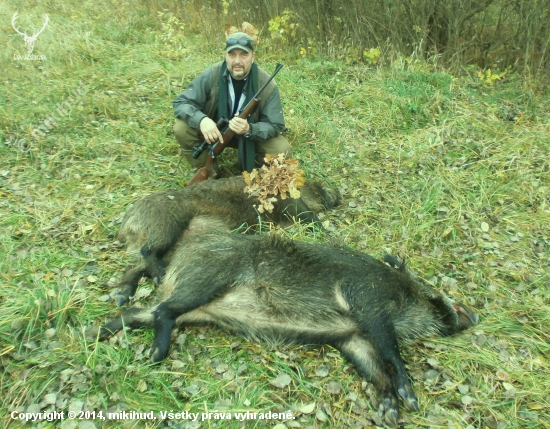 Strelec pri úlovku lanštiaka.