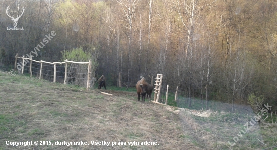 najazdnici v akcii