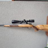 Cz 550 v dreve 557