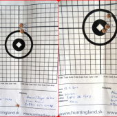 RWS  9,3x62 - Doppelkern - 14,6g/ 225gr, Haenel Jäger 10 PRO