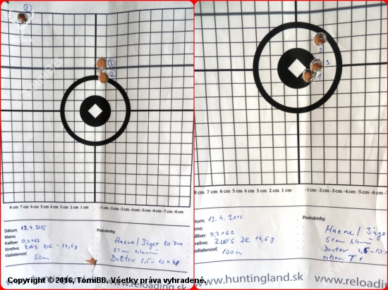 RWS  9,3x62 - Doppelkern - 14,6g/ 225gr, Haenel Jäger 10 PRO