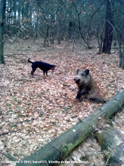 pár sekúnd po a pár pred ...