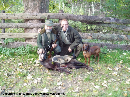 Jura,Matthias,Centa a úlovky.