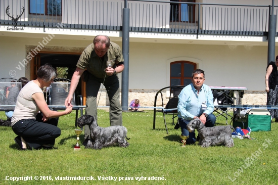 Medzinárodné dni Českých teriérov 6.-8.5.2016 Telč( účasť 8 štátov ) -CZ. KV KCHČT