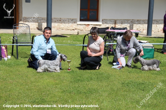 Medzinárodné dni Českých teriérov 6.-8.5.2016 Telč( účasť 8 štátov ) -CZ. KV KCHČT