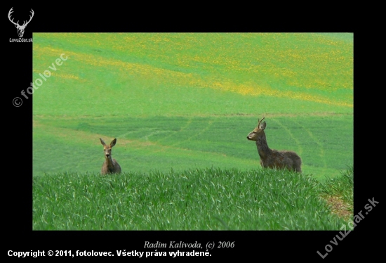 Klabonos