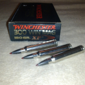 winchester XP-3 300wm