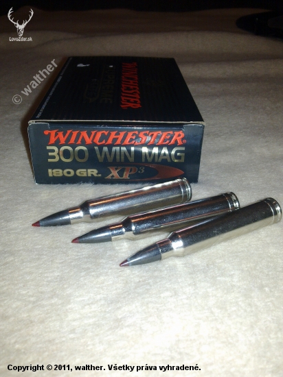 winchester XP-3 300wm