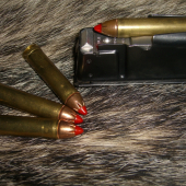 HORNADY LEVERevolution 325gr  uvidime co to urobi s diviakmi,,,