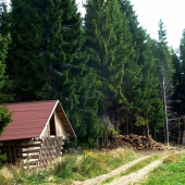 Stavby v Lesoch mesta Sp. Nová Ves