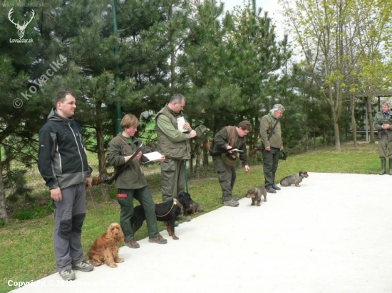 Skúšky vlôh malých plemien-Podolie