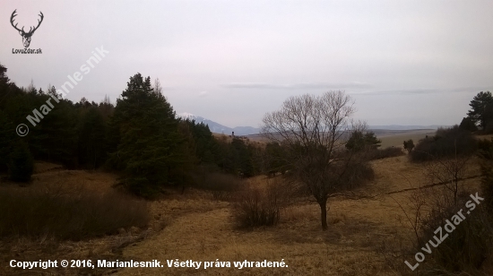 Krásy lesa s pohľadom na Tatry.