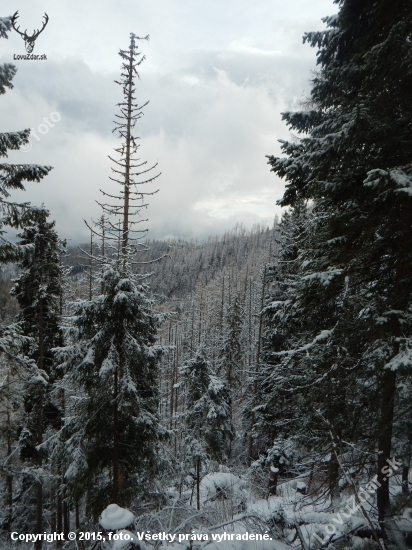 Tatry