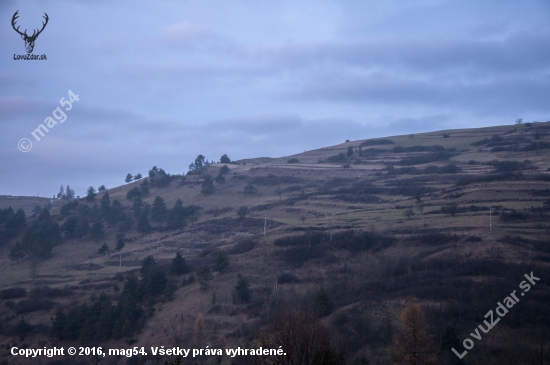 Večer nad Veľkým Lipníkom