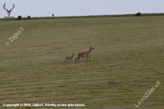 Mamka a dcérka