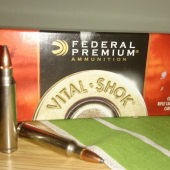 223r Federal Nosler partition