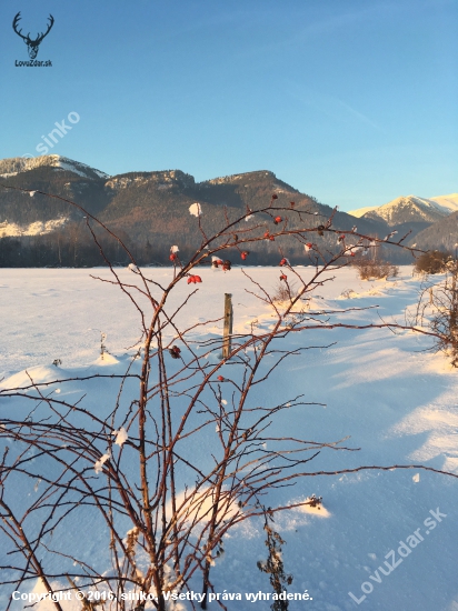 Západné Tatry