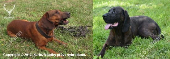 Bude to dobré spojenie?