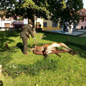 Aktuálne v kežmarku