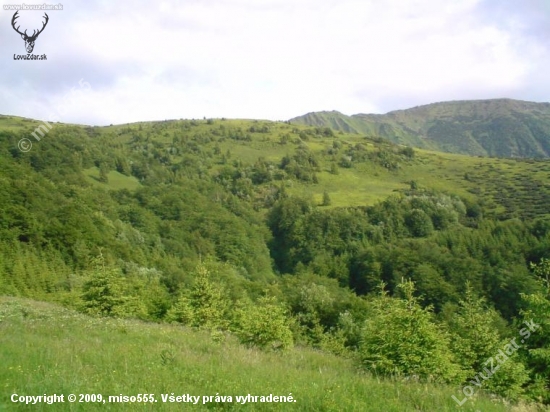 Mala Fatra- V pozadi Maly Krivan