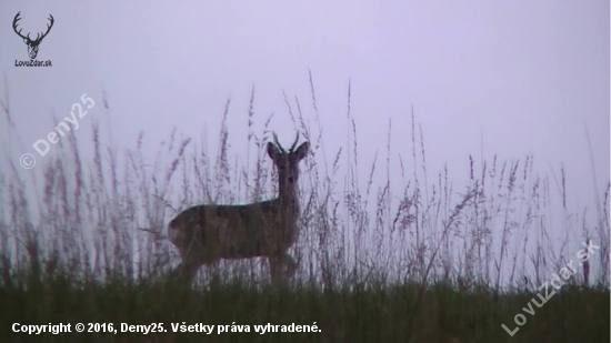 Dufam že ma nevidno