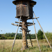 starý posed pod Tatrami