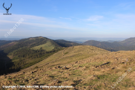 Levočské vrchy