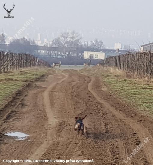 Bára z Agátovej doliny