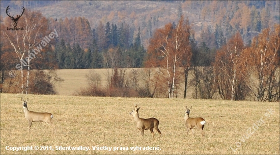 Stretnutie po štvrťroku