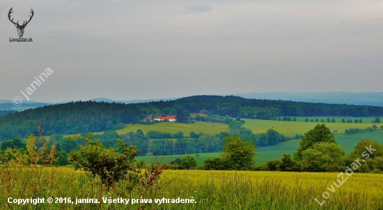 Ze šoulačky.