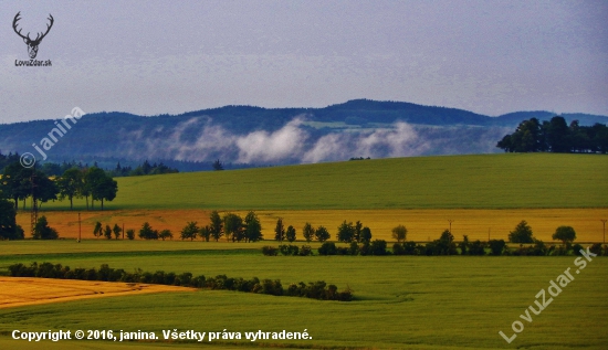 Ze šoulačky.