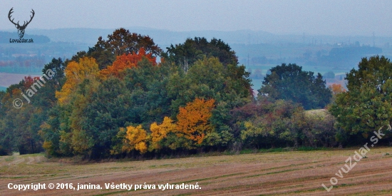 Ze šoulačky.