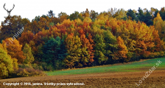 Z večerní šoulačky.