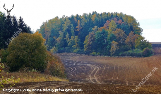 Z čekané.