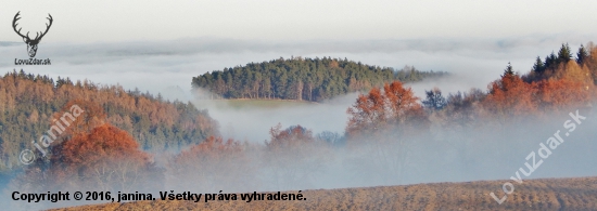 Ze šoulačky.