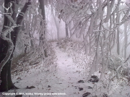 Na hrebenoch Malych Karpat - - Narnia.