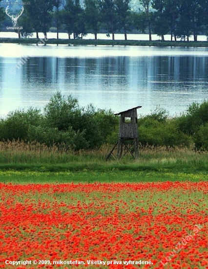 posed pri rybníku