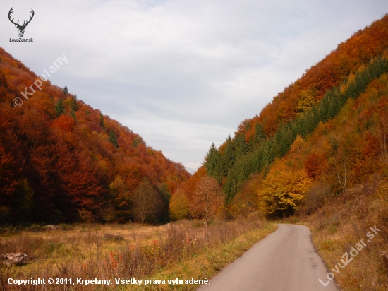 Veľkofatranská Jeseň